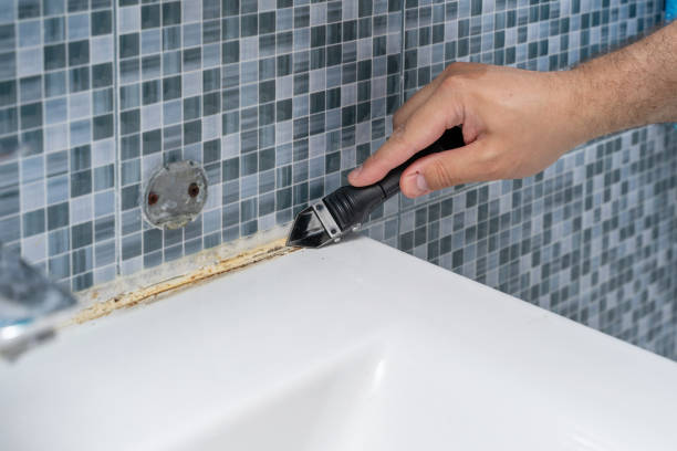 Certified Mold Removal in Scott City, MO